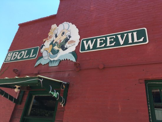 The Boll Weevil Cafe Menu with Prices